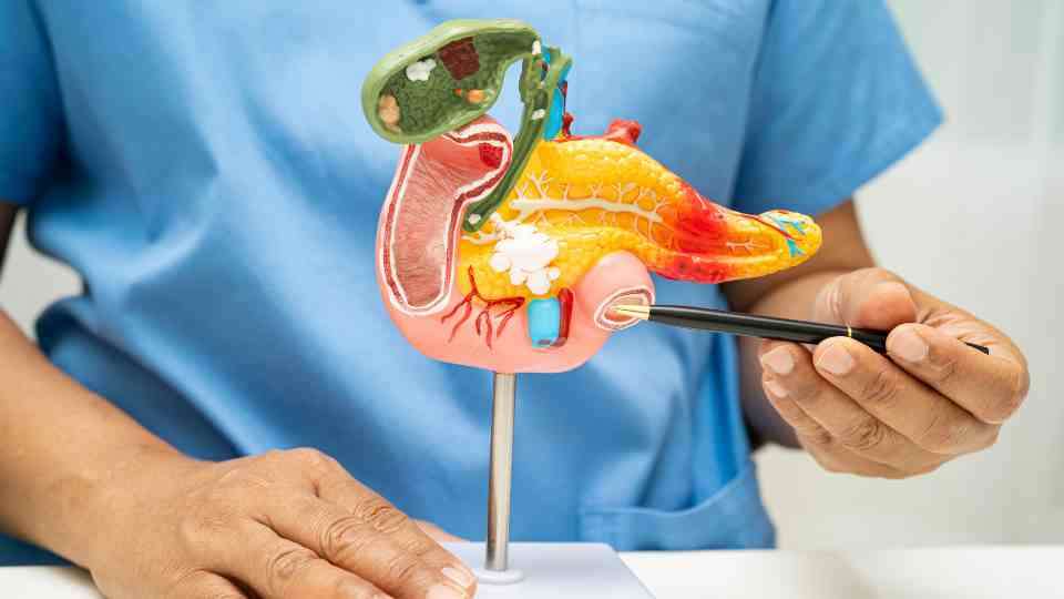 Mounjaro and pancreatitis 